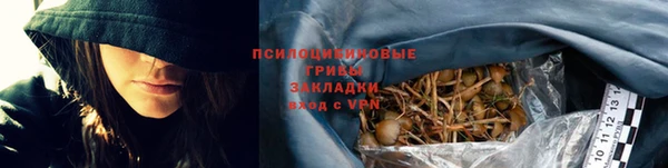 мяу мяу мука Баксан
