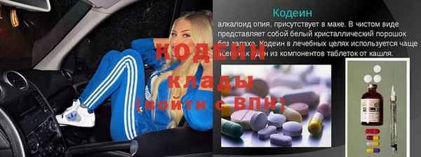 гидра Дмитров